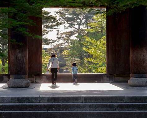 南平薰衣草夢花園：夢里花園，花開夢中。